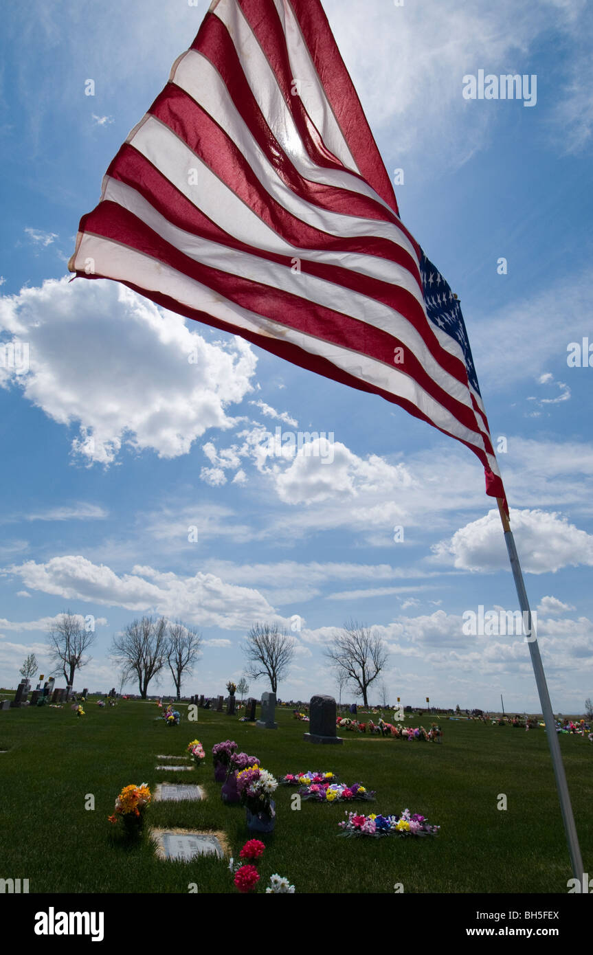 Memorial Day Flags in Cutbank Stock Photo