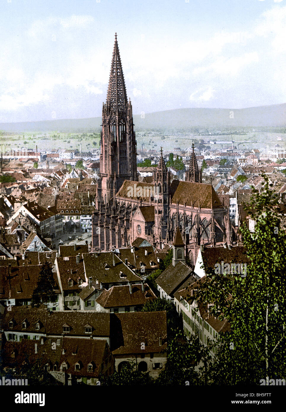 Das Münster Freiburg Stock Photo