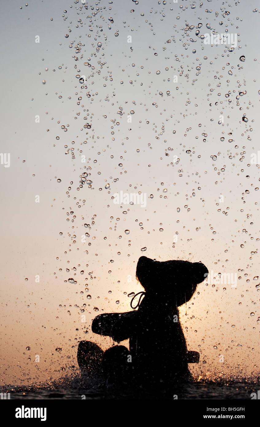 Teddy bear catching water drops silhouette Stock Photo