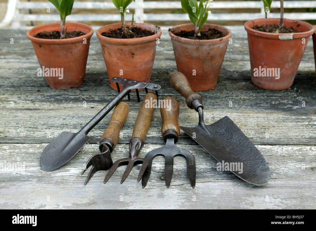 A Selection Of Traditional Gardening Tools Placed On A Work Bench