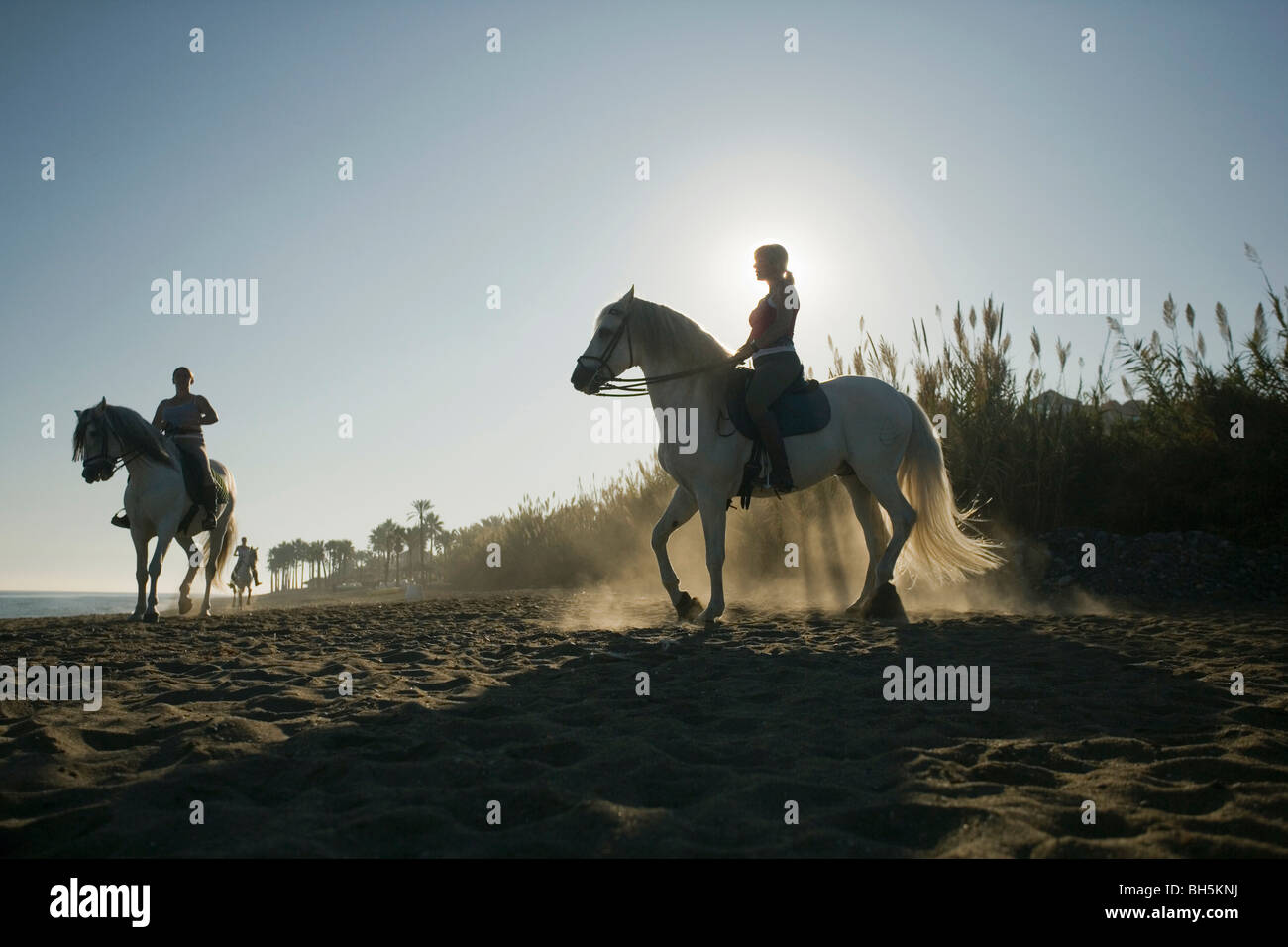 Three women riding horses on beach Stock Photo