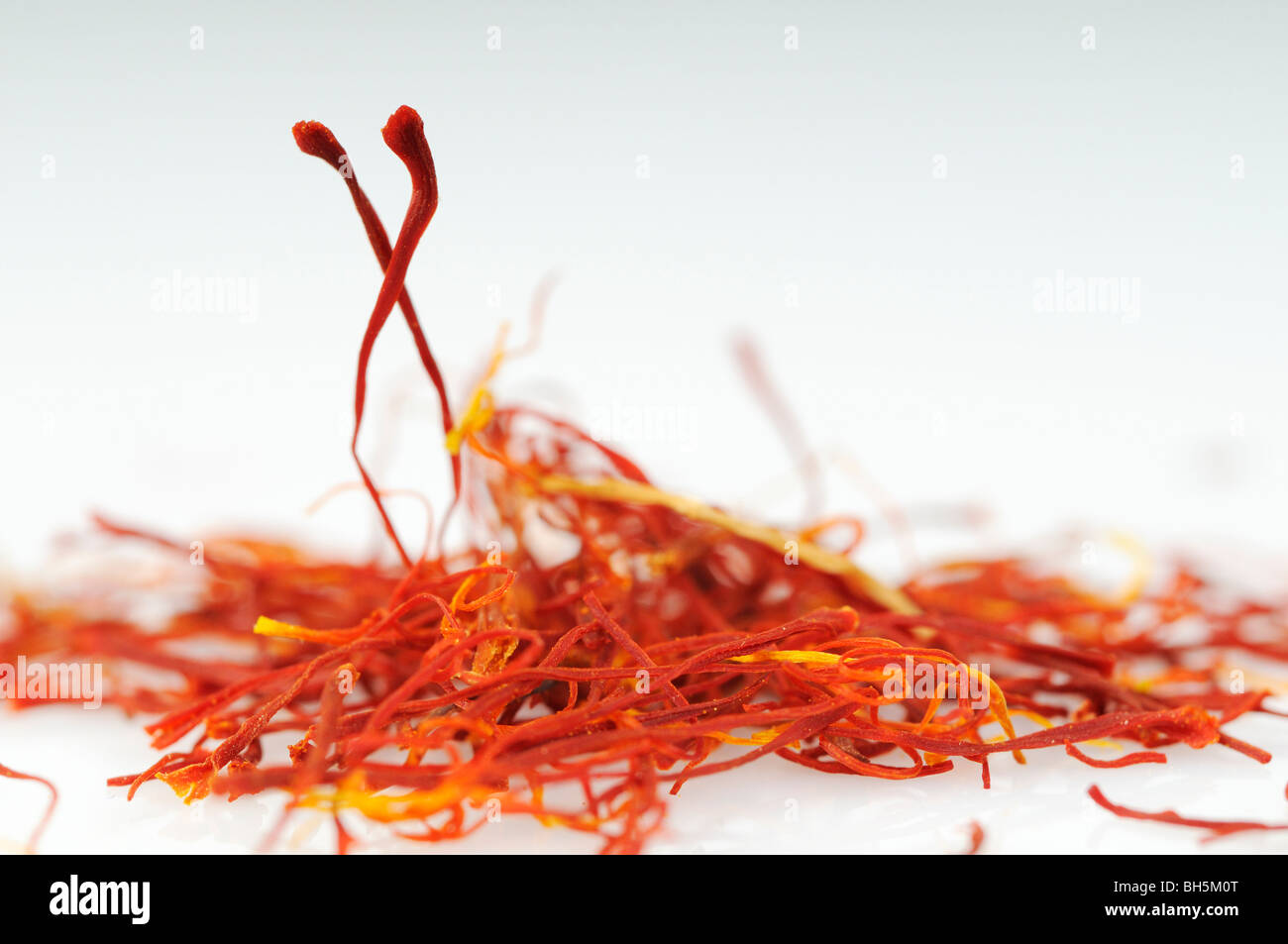 Stock photo of saffron strands on a white background. Stock Photo