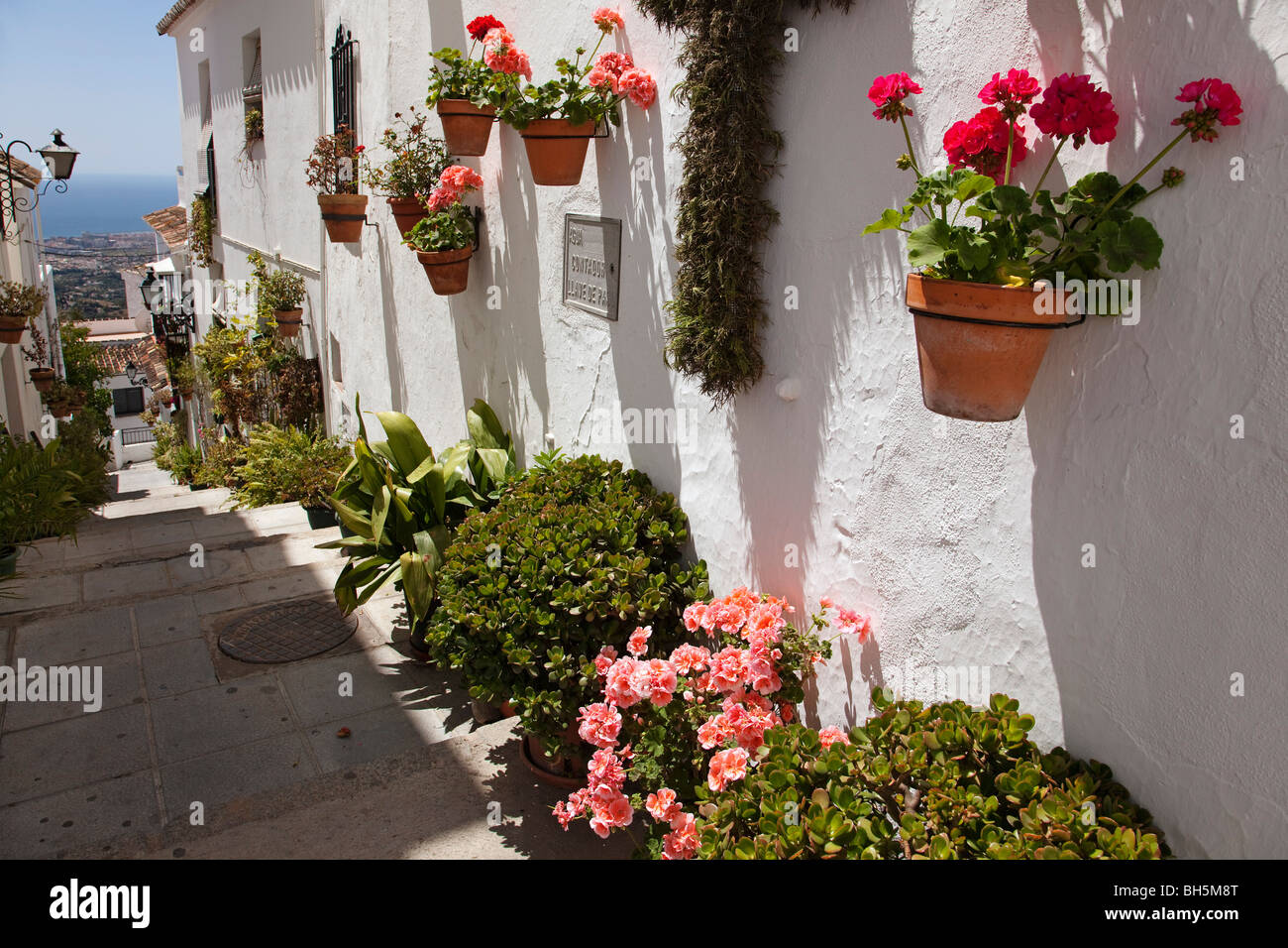 Calle  flores  Pueblo Blanco de Mijas Costa del Sol Málaga Andalucía España Street  flowers white village mijas andalusia spain Stock Photo