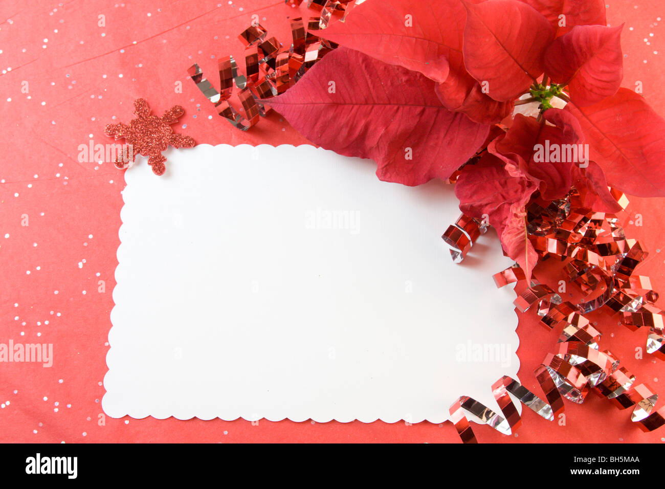 blank Christmas card with poinsettia, red metallic ribbon, and copy space Stock Photo
