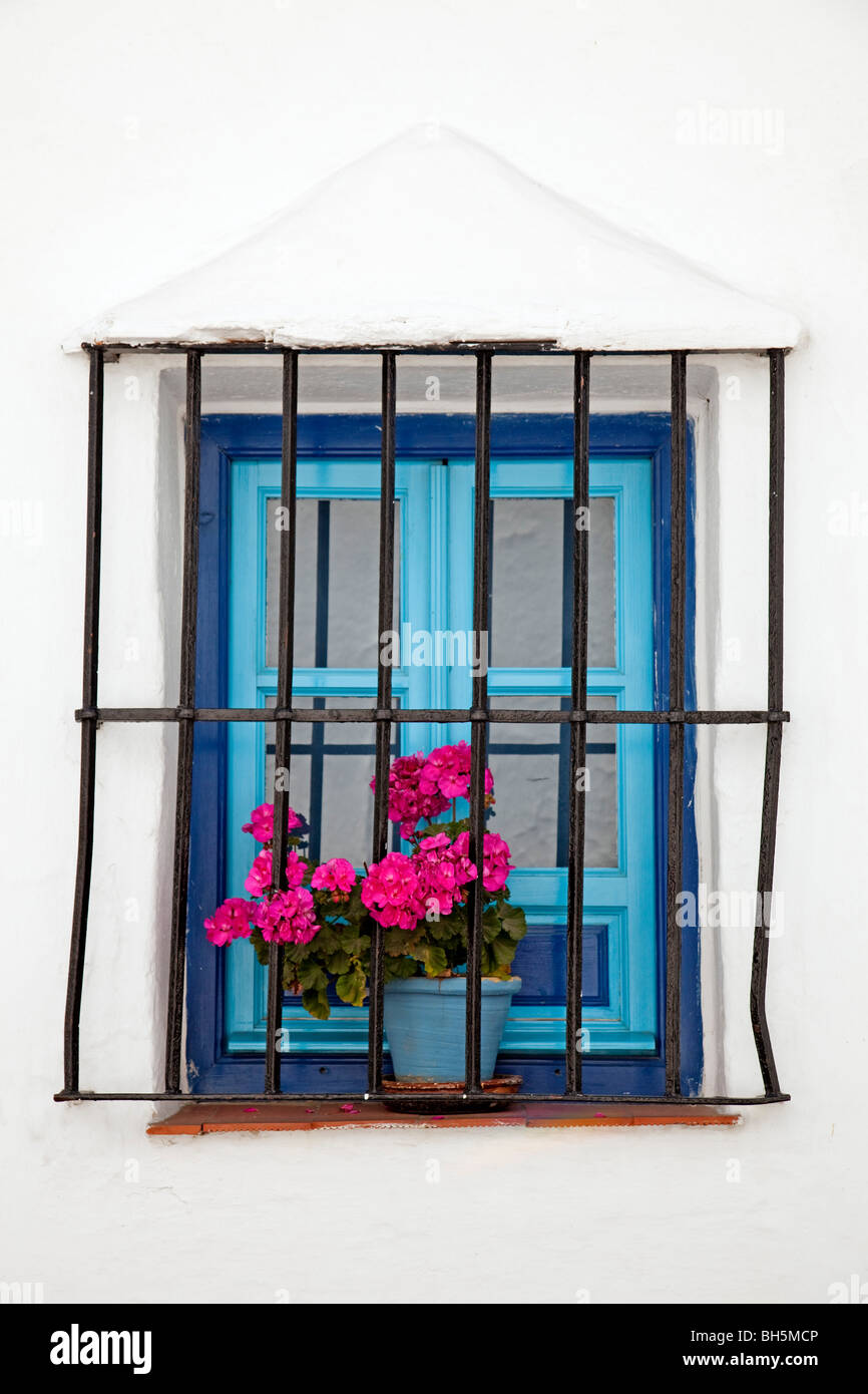 Ventana  flores Pueblo Blanco de Mijas Costa del Sol Málaga Andalucía España Window with flowers white village andalusia spain Stock Photo
