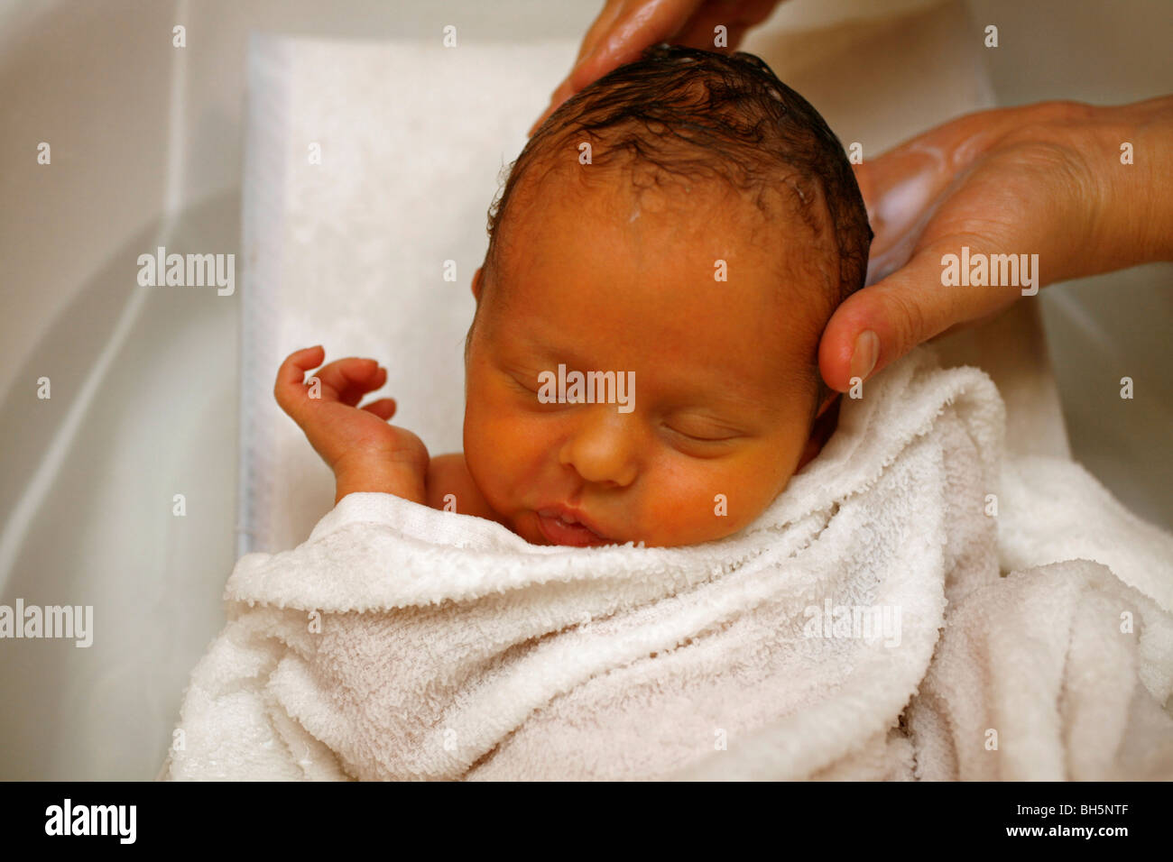 New born baby being bathed by mother Stock Photo 27786431 Alamy