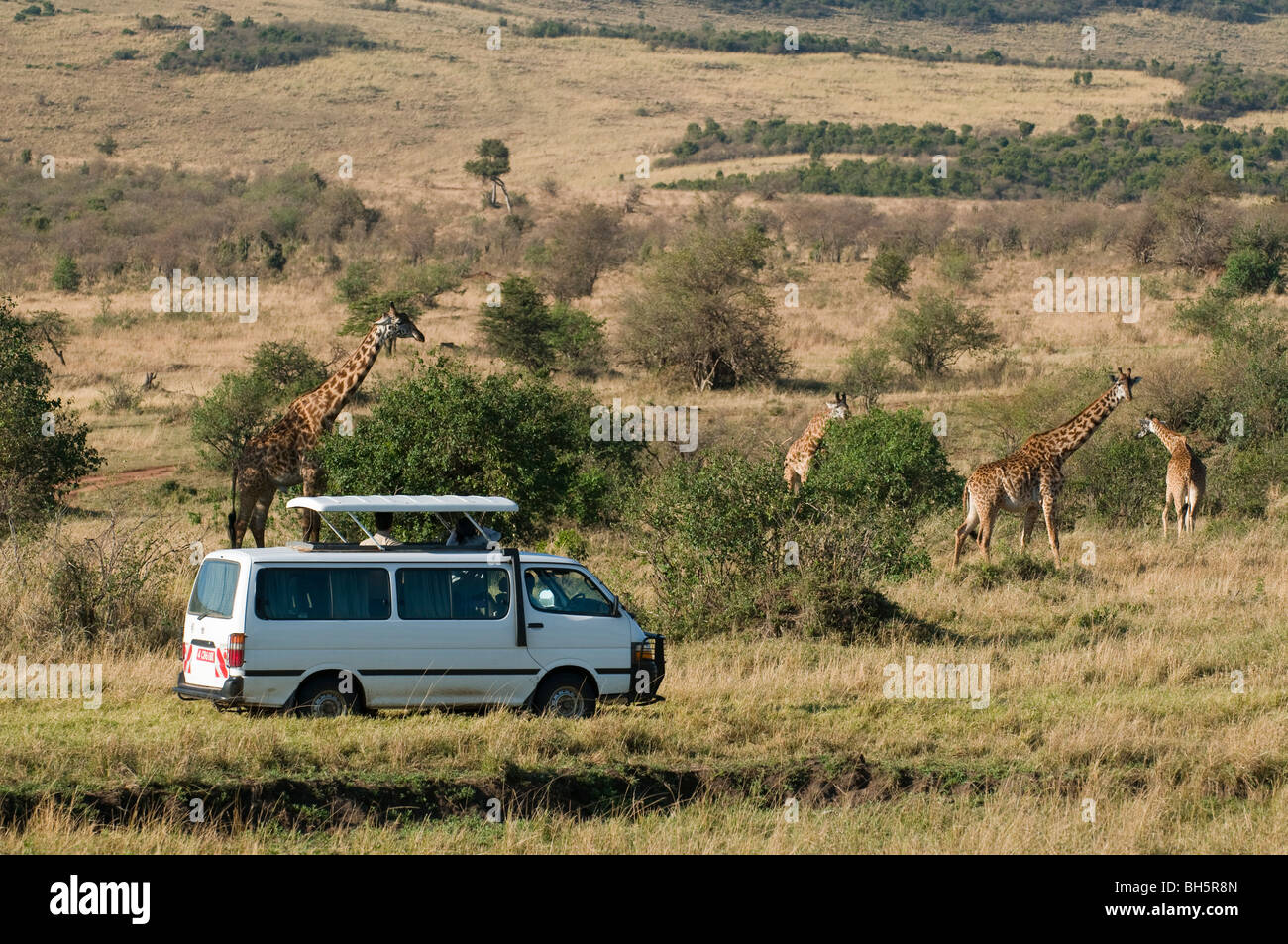 Masai mara nation hi-res stock photography and images - Alamy