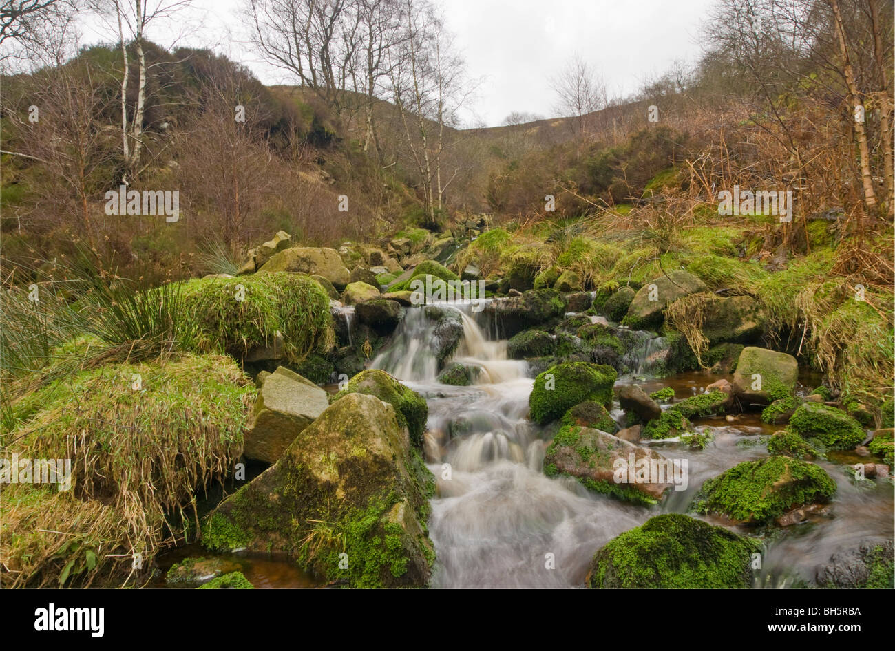 waterfall-in-the-forest-of-bowland-stock-photo-alamy