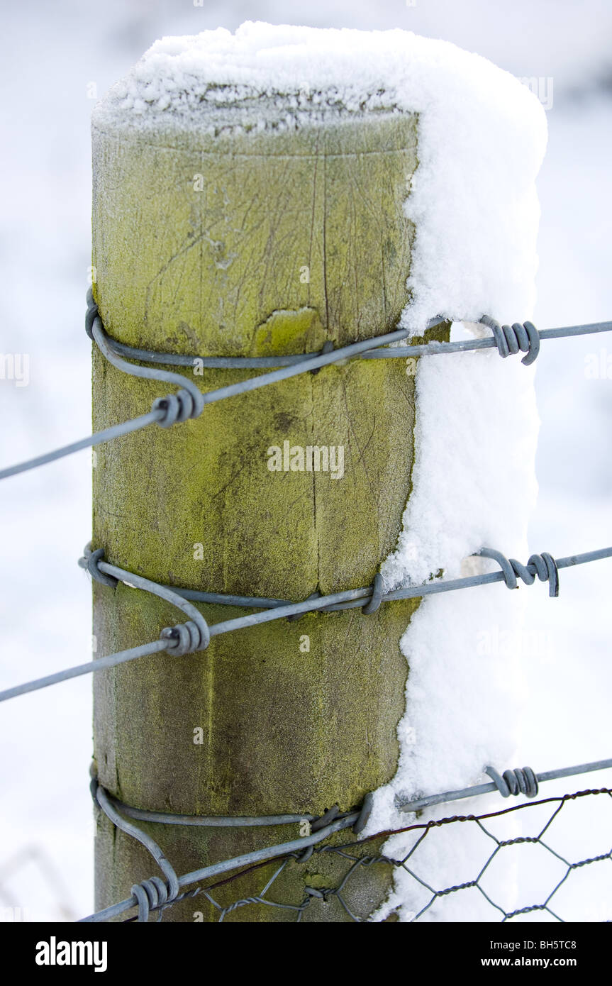 Timber wooden fence posts hi-res stock photography and images - Alamy