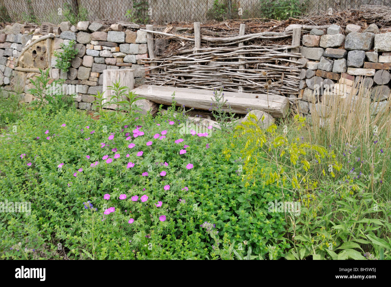 Dry stone wall garden hi-res stock photography and images - Alamy