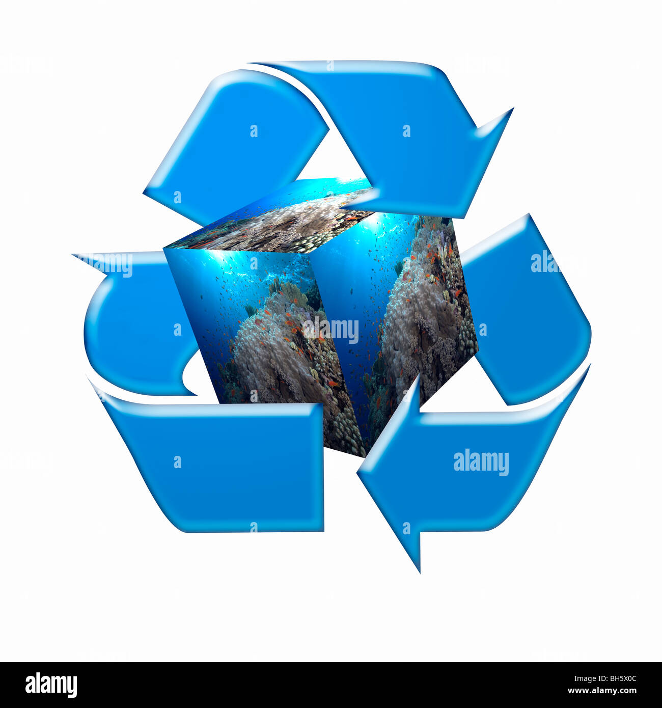 Recycle Symbol surrounding a Photograph of a Coral Reef in the shape of a Cube. Conceptual Image of Preserving the Oceans Stock Photo