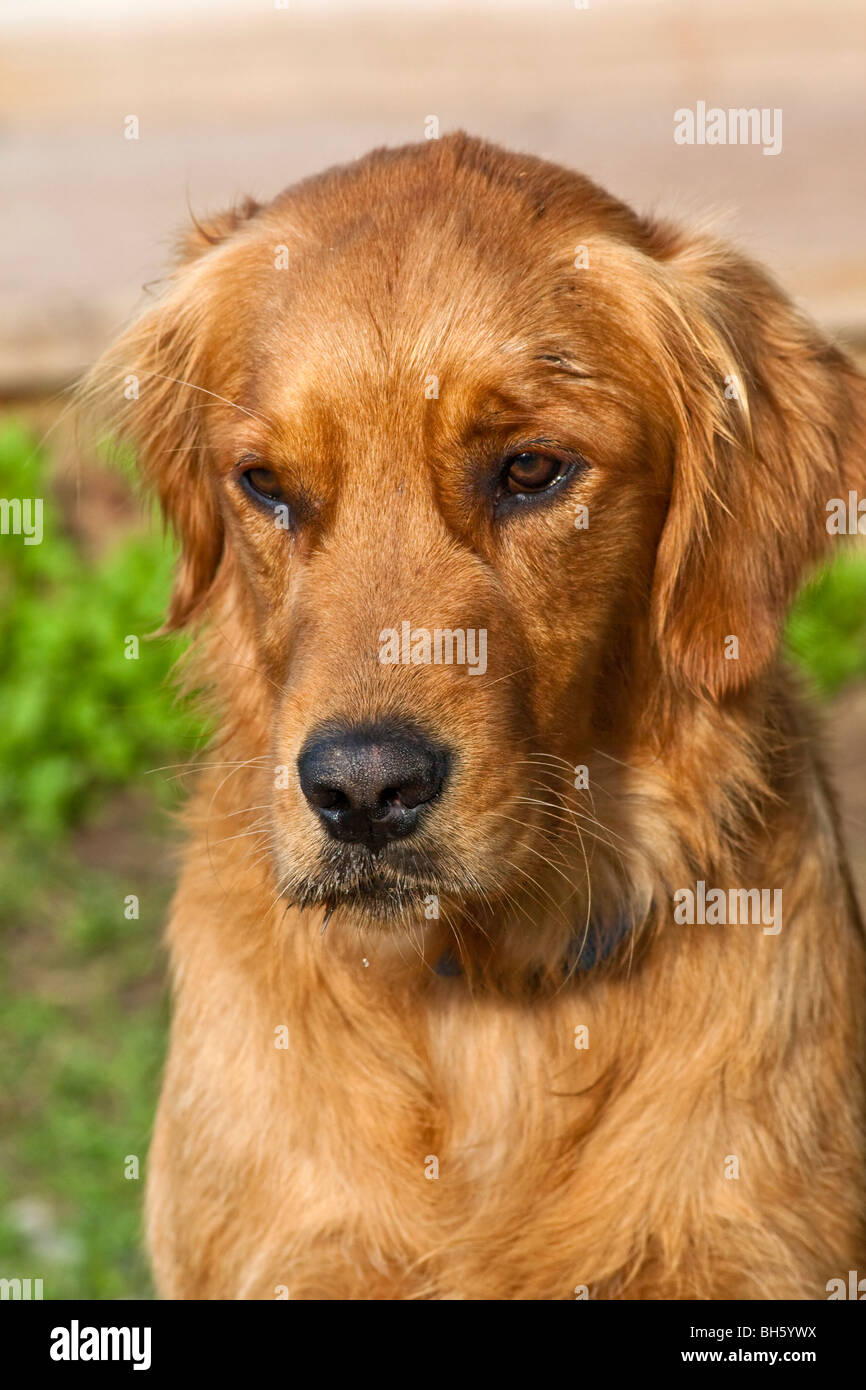 Lonely hi res hi-res stock photography and images - Alamy