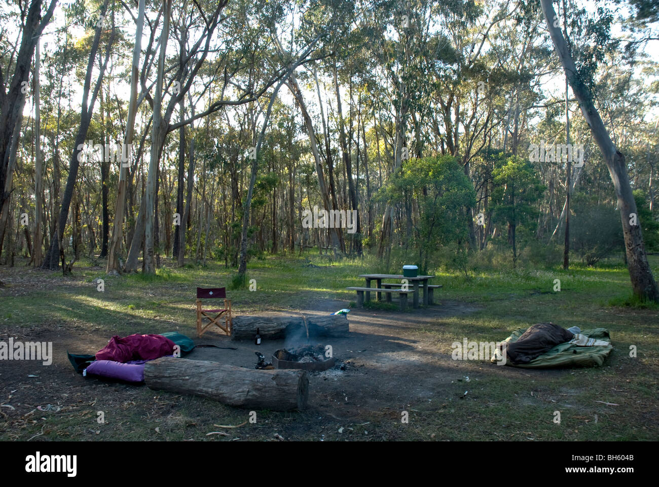 Chookarloo Campsite and swags, Kuitpo Forest, Fleurieu Peninsula, South