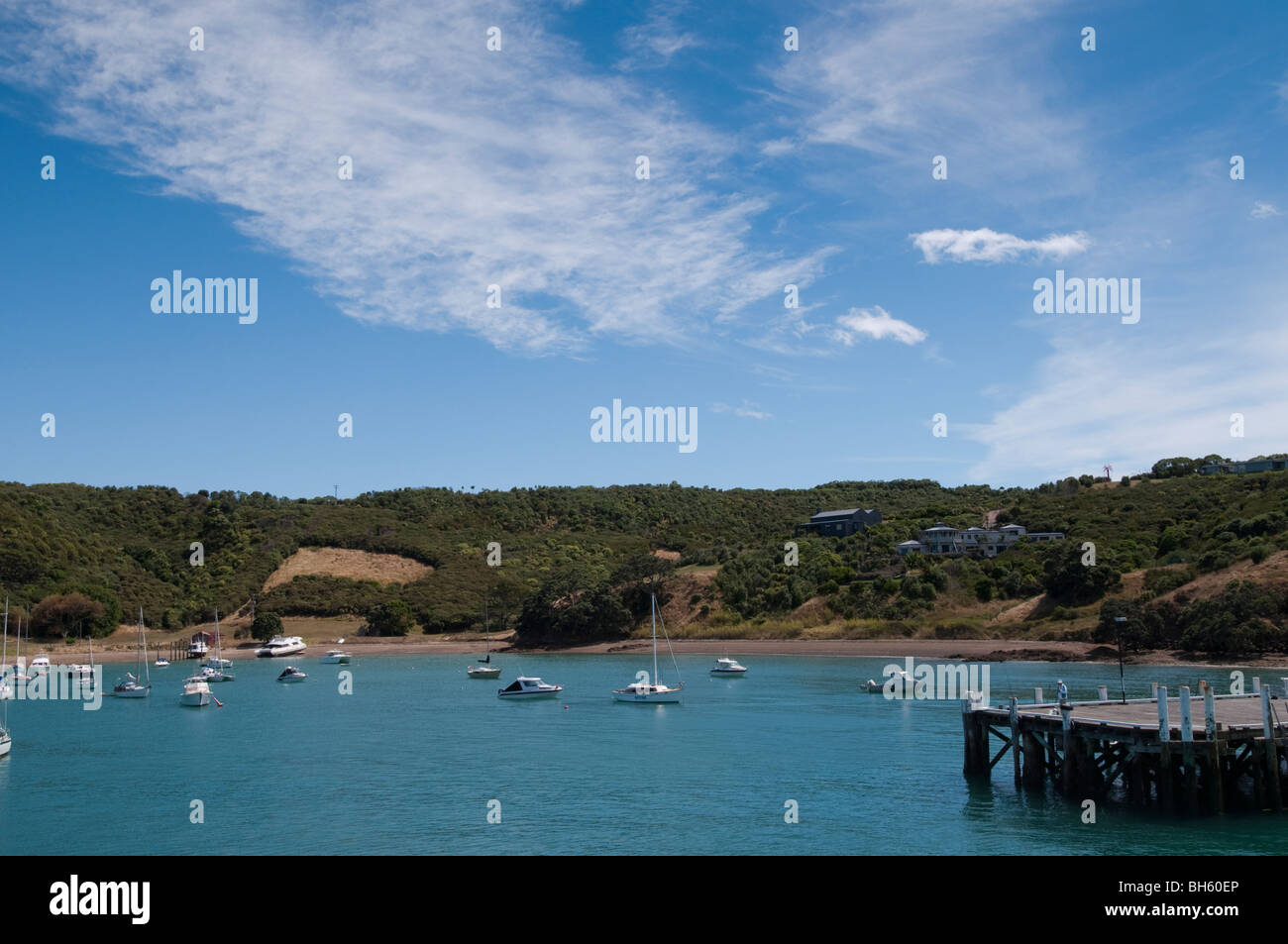 Group of sailing boats moored in Waiheke island, New Zealand Stock