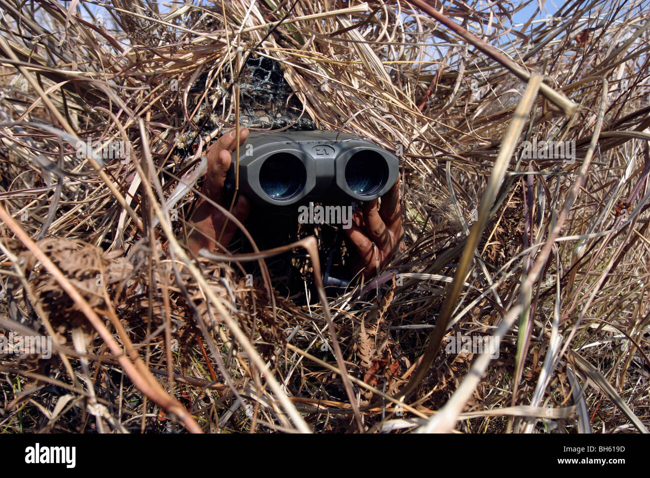 A scout observer practices observation techniques using a homemade ghillie suit. Stock Photo