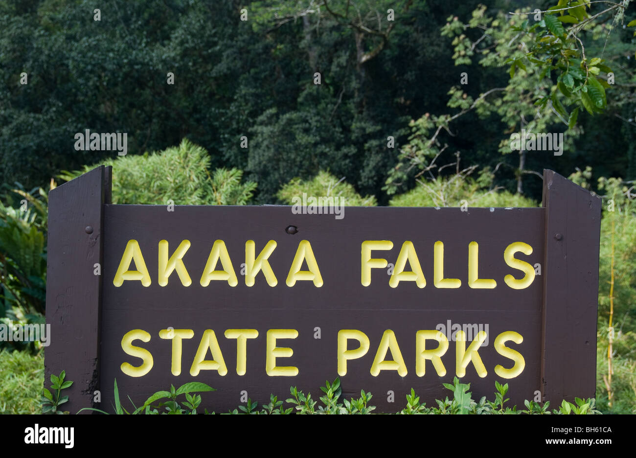 Akaka Falls state park Big Island Hawaii Stock Photo