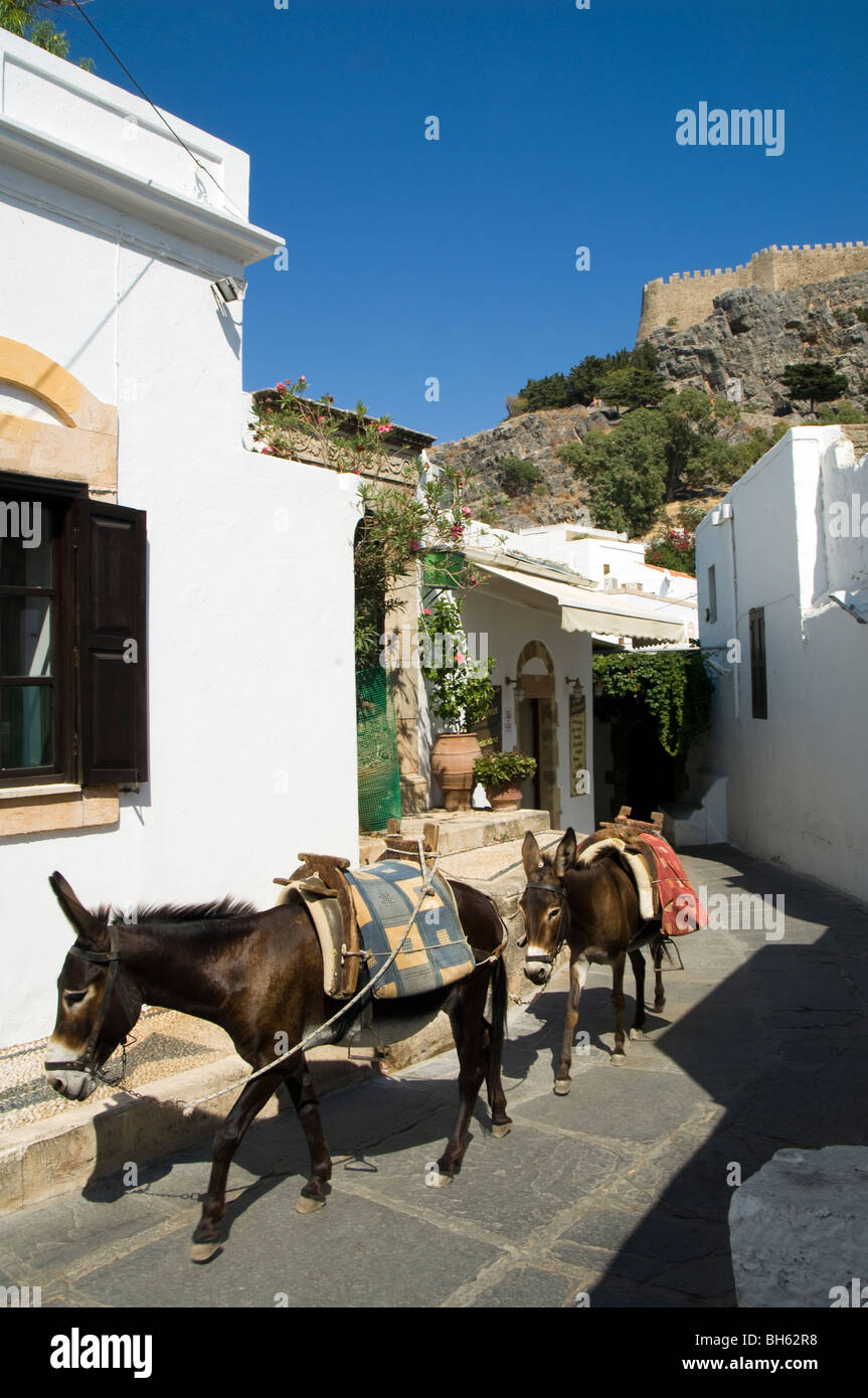 two donkeys walking through the Old Town of Lindos,Rhodes Island,Greec Stock Photo
