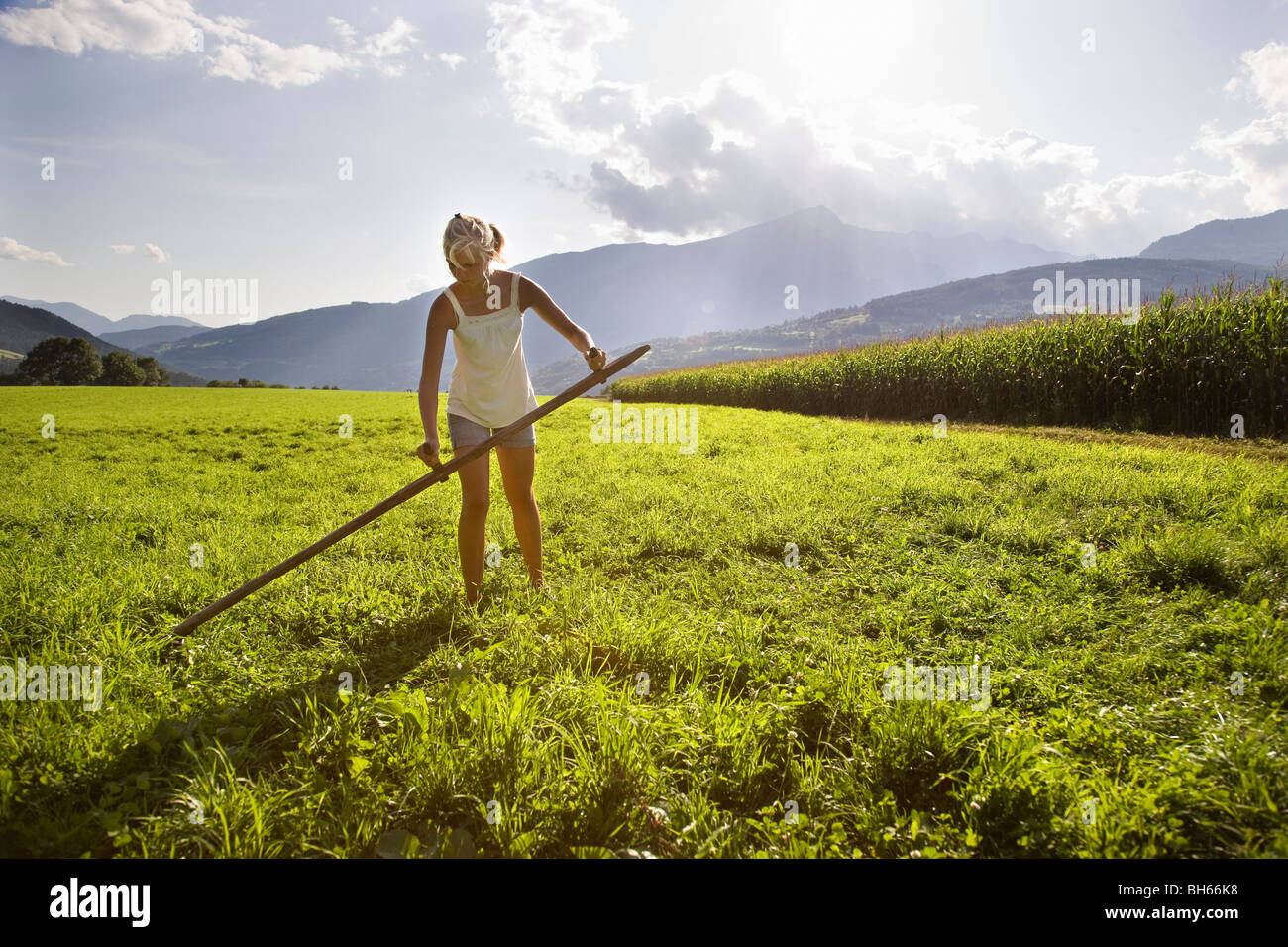 Grass Scythe Cutting Demonstration