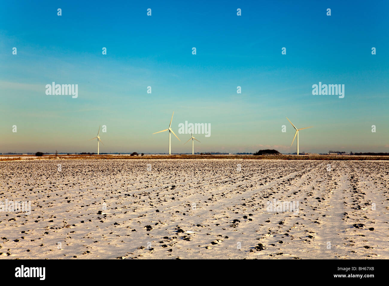 Snowy Landscape, Lincolnshire Fens, England, Great Britain, UK Stock Photo