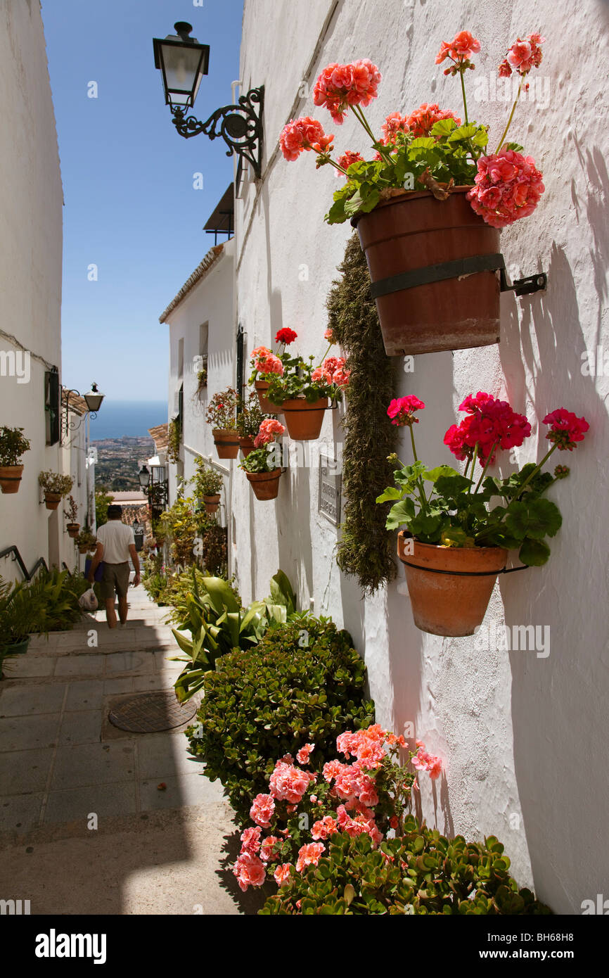 Calle  flores  Pueblo Blanco de Mijas Costa del Sol Málaga Andalucía España Street  flowers white village mijas andalusia spain Stock Photo