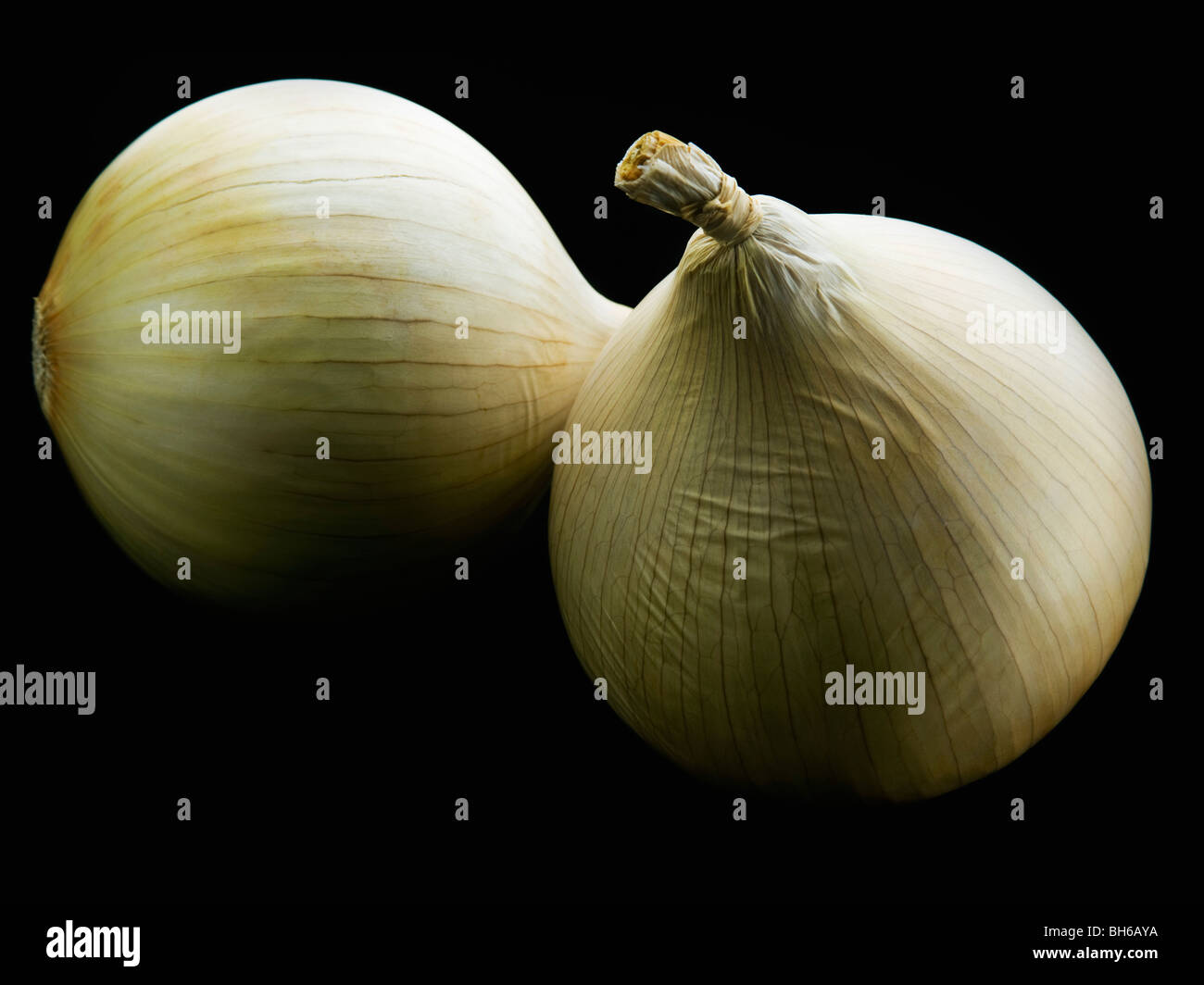 White onion photography hi-res stock photography and images - Alamy