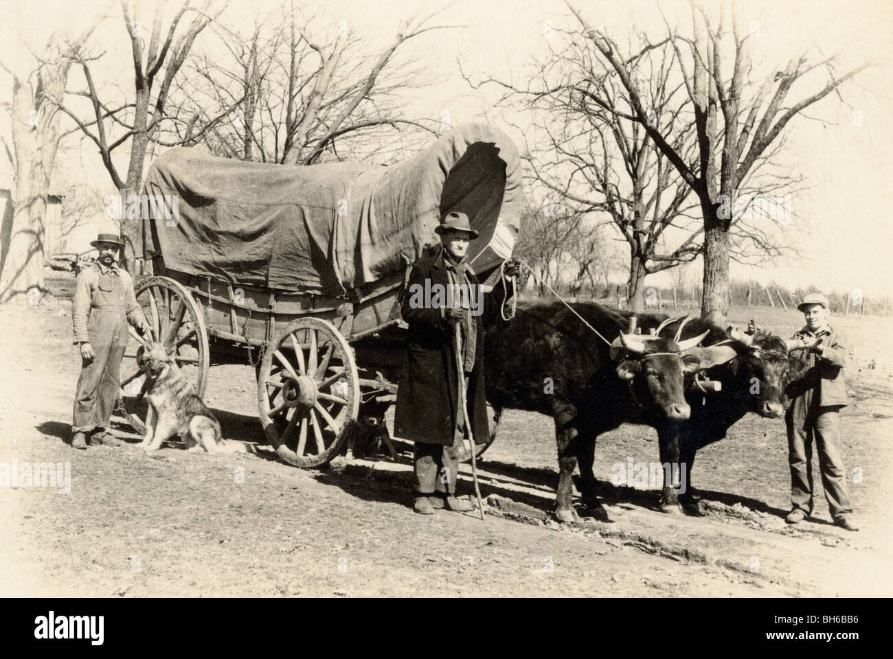 Charlie Hillman in the Ozarks with Covered Wagon Stock Photo