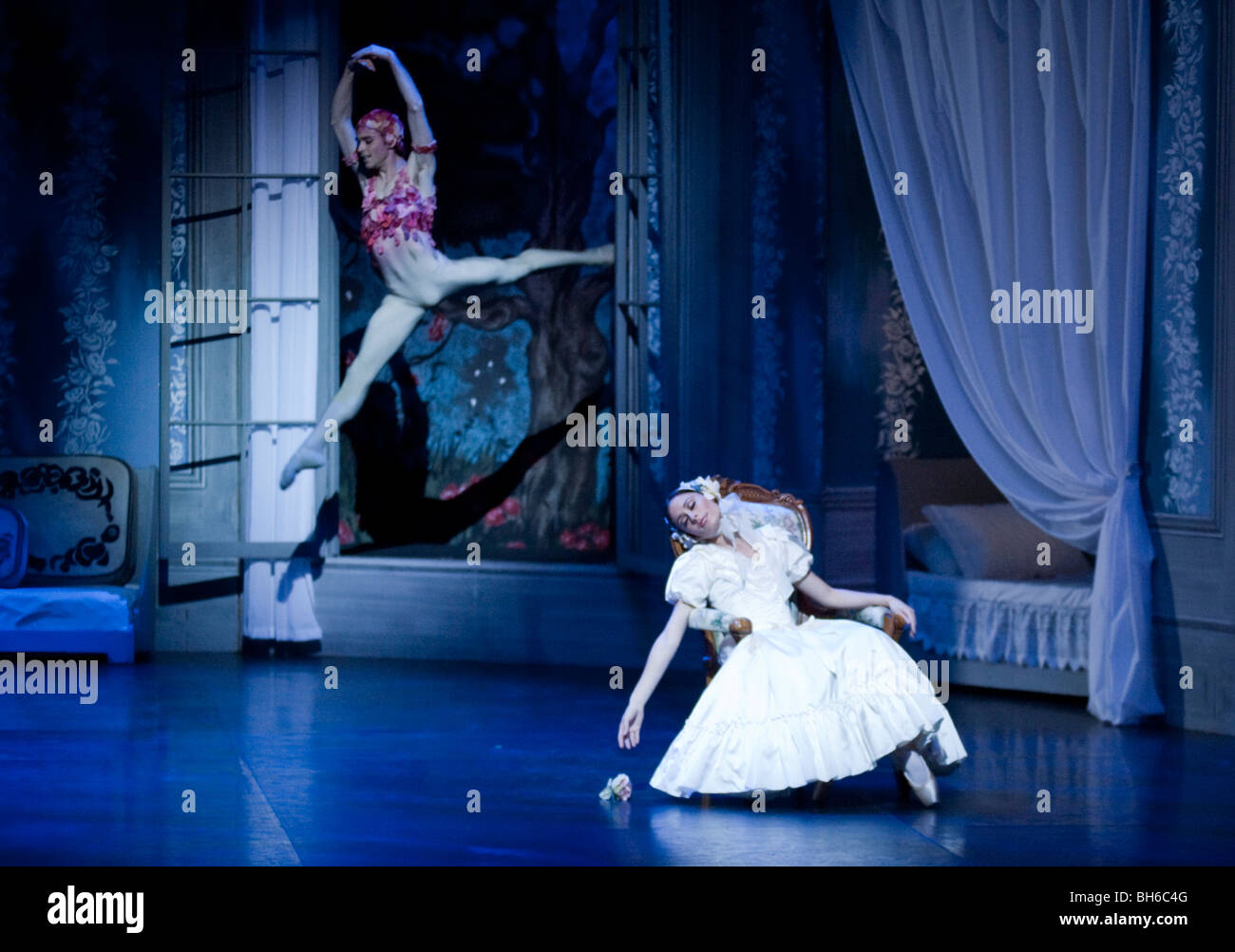 English National Ballet. 'Ballet Russes' season at Sadlers Wells Theatre. 'Le Spectre de la Rose'. Stock Photo
