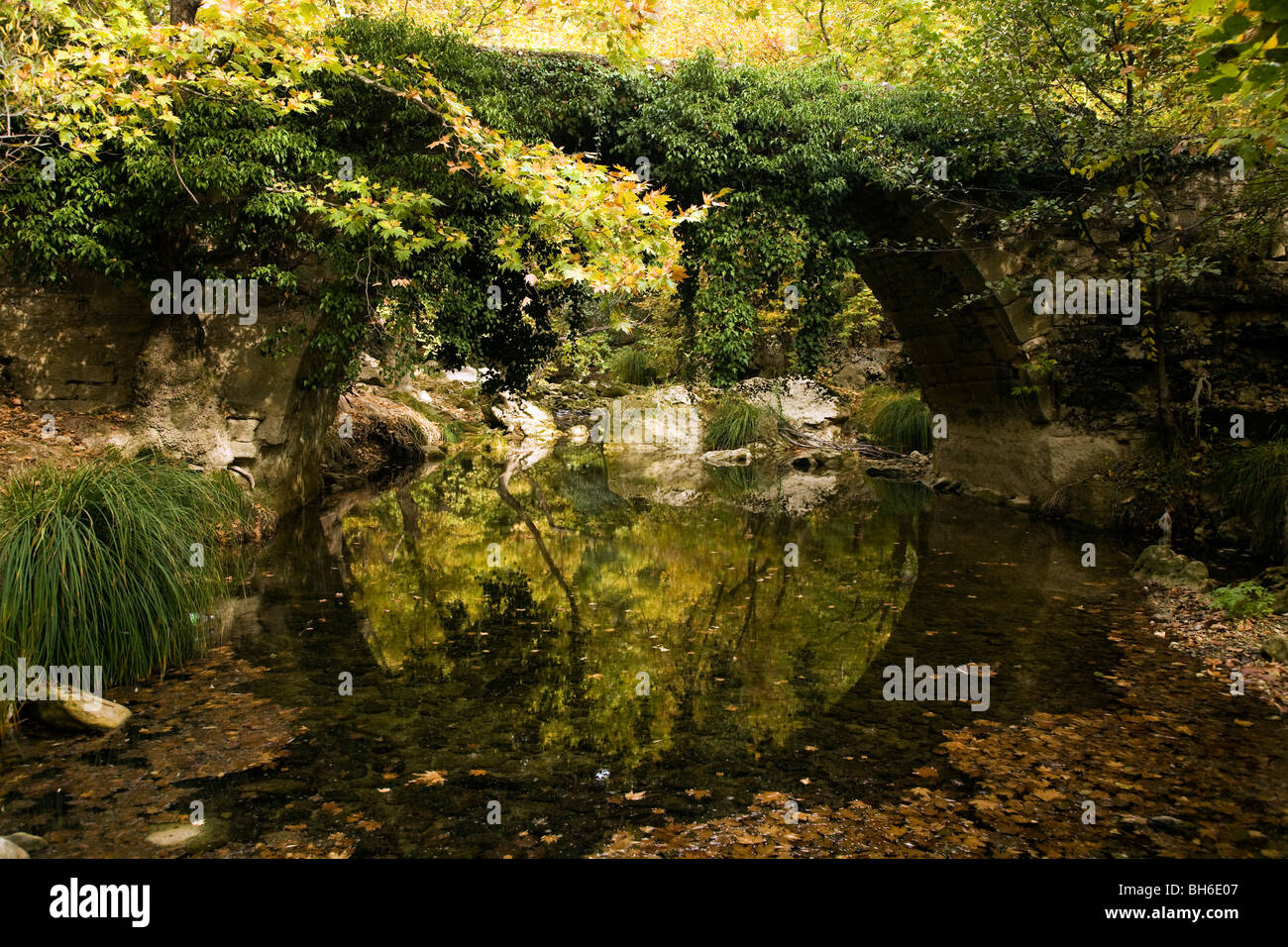 Historical stone arch bridge covered with vegetation Safranbolu Turkey. Stock Photo