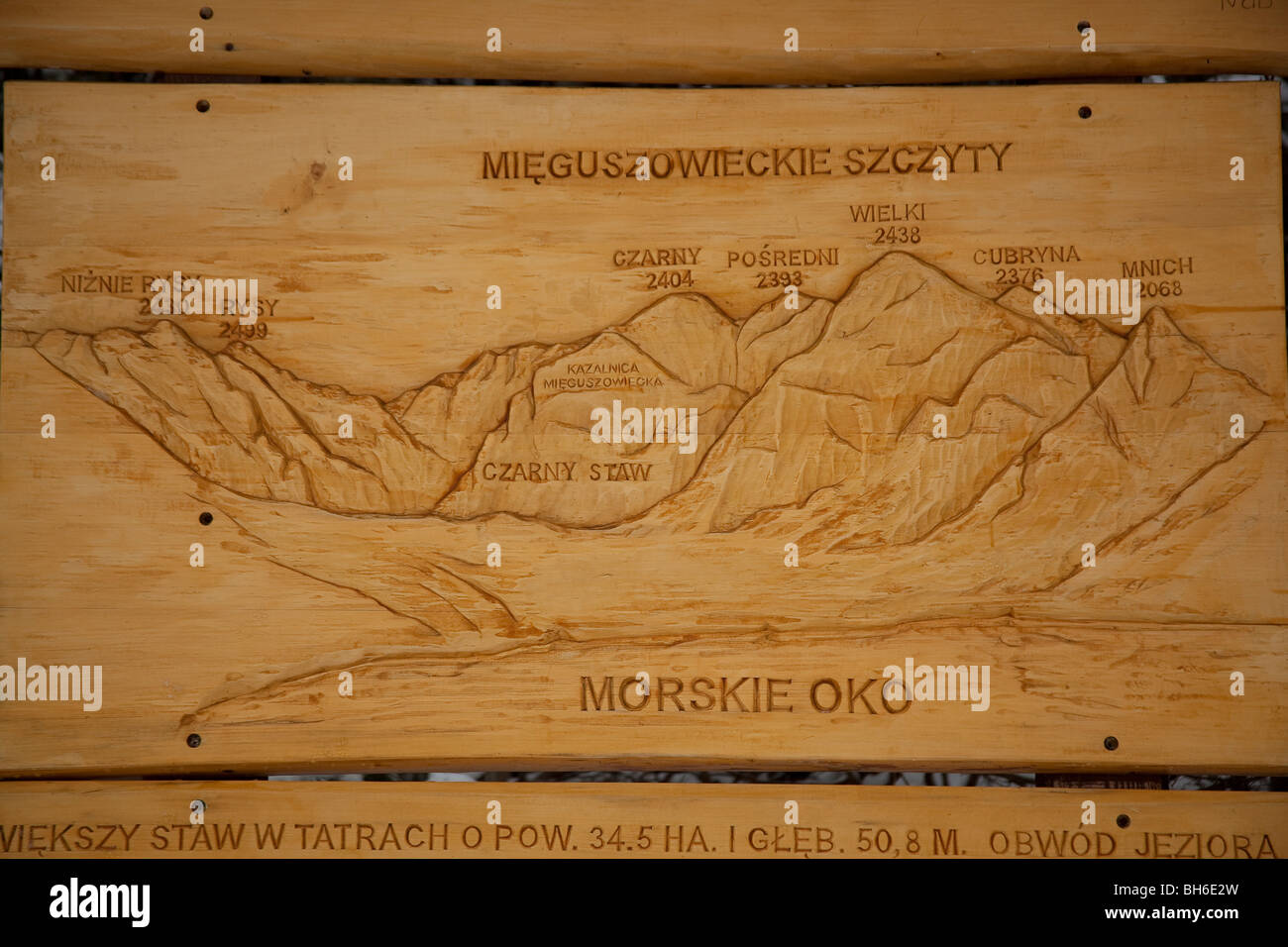 Woodcut, National Park Tatra, Poland Stock Photo