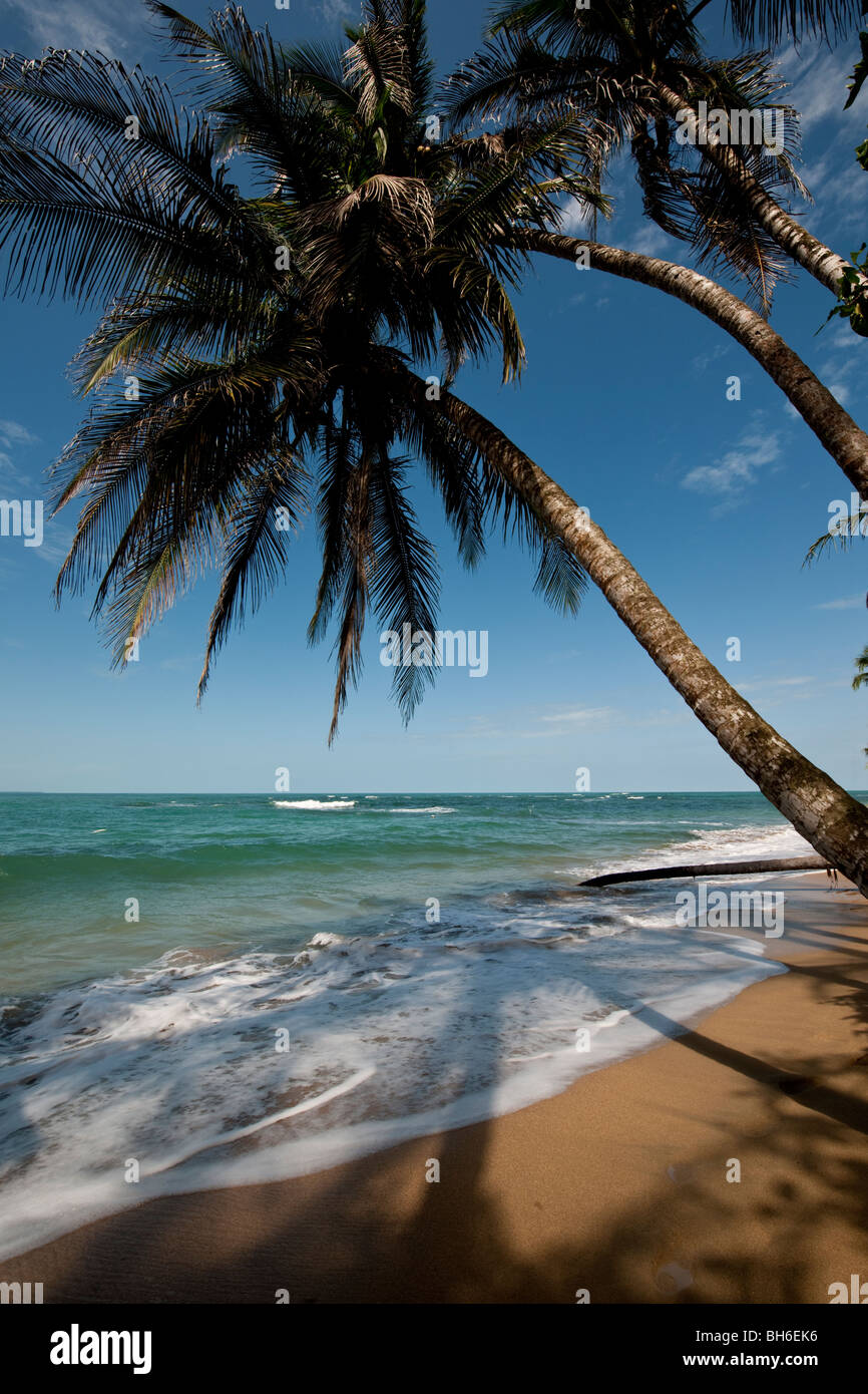 The idylic paradise beach of Punta Uva near Puerto Viejo de Talamanca in Limón Province, southeast Costa Rica Stock Photo