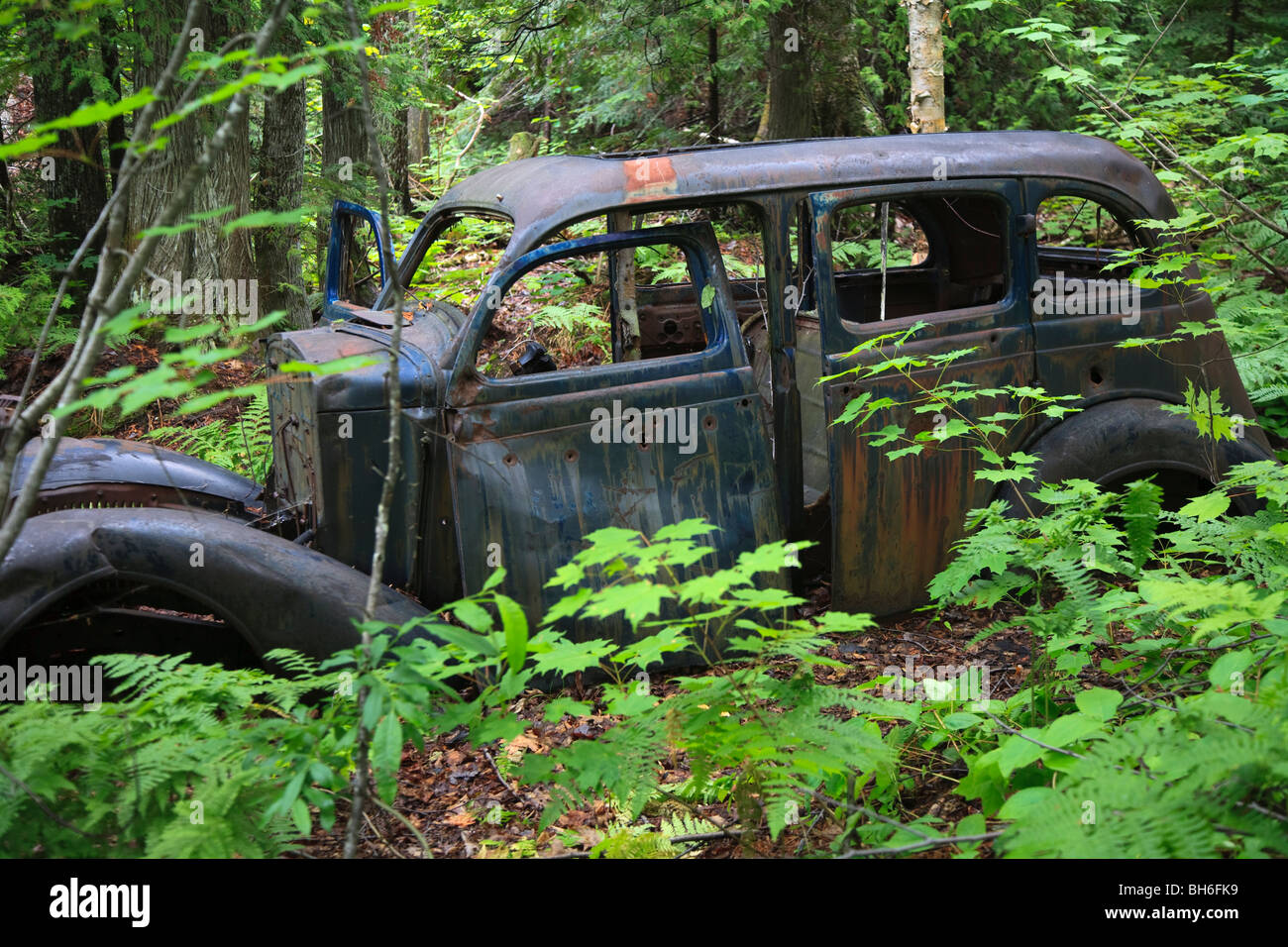 Abandoned wreck of a bullet riddled old car in forest near Copper Harbor, Michigan, USA Stock Photo
