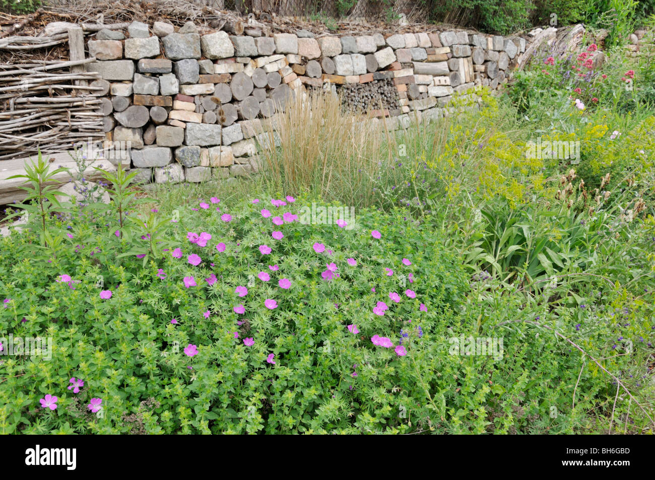 Perennial garden with dry stone wall Stock Photo