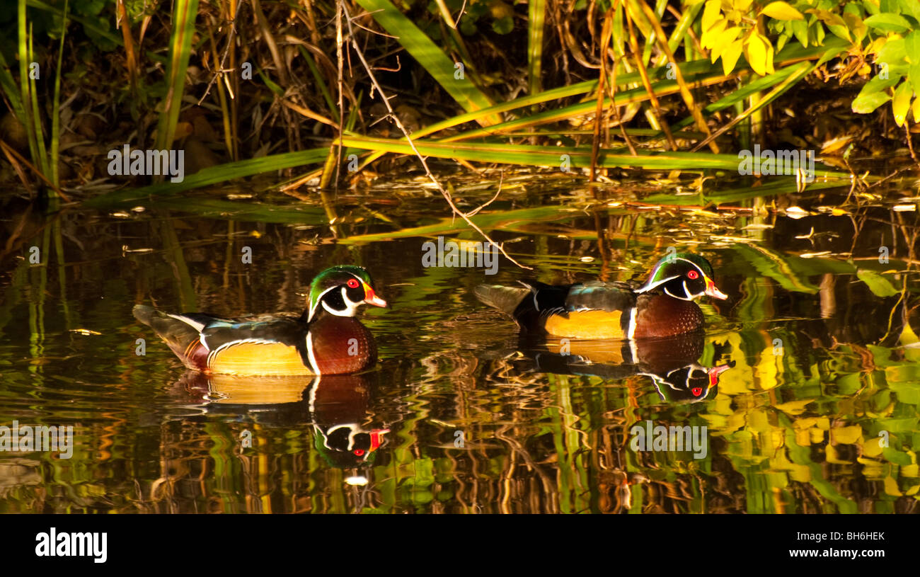 Kathryn albertson hires stock photography and images Alamy