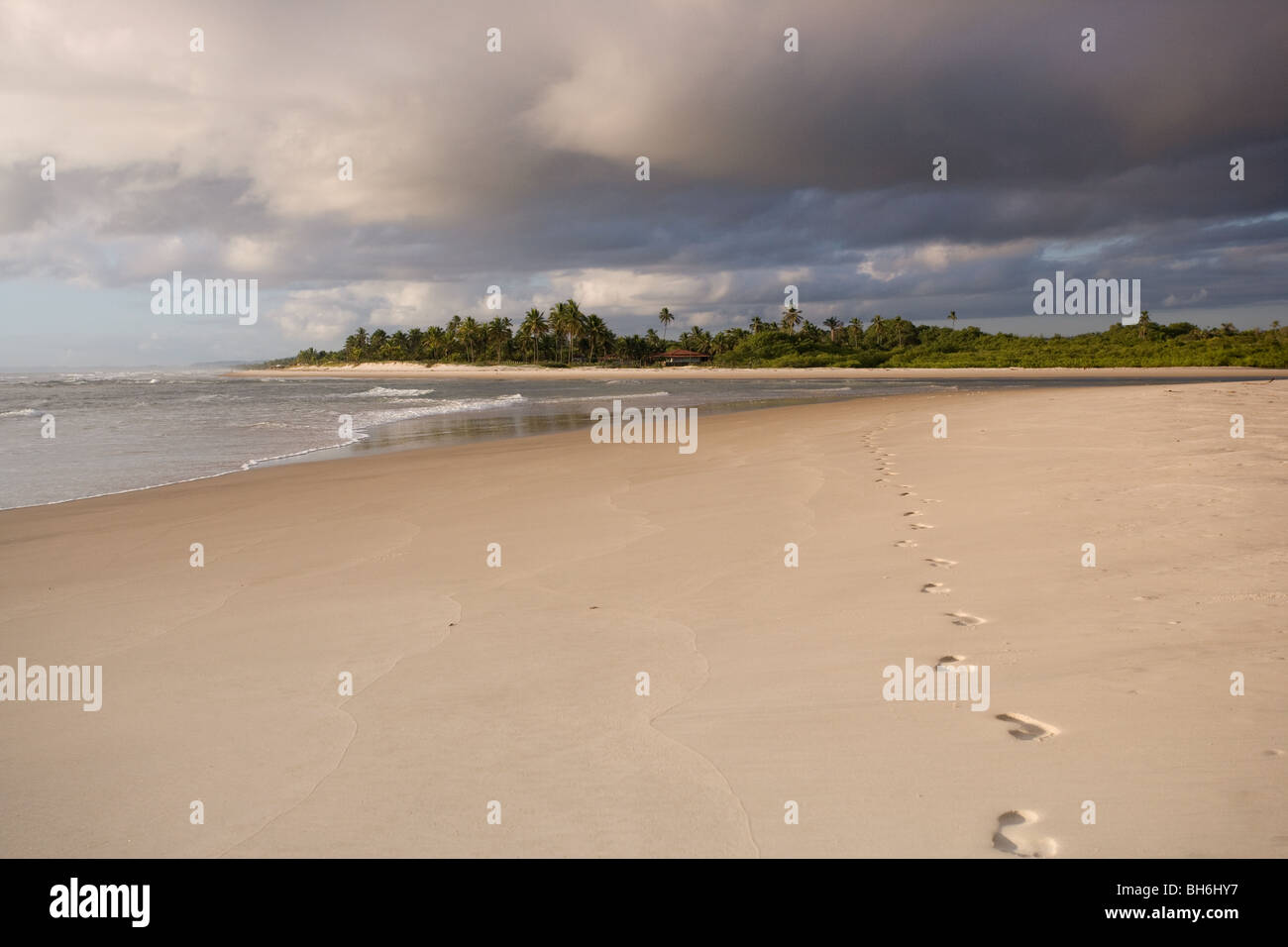 Foot prints on tropical beach at dawn Stock Photo