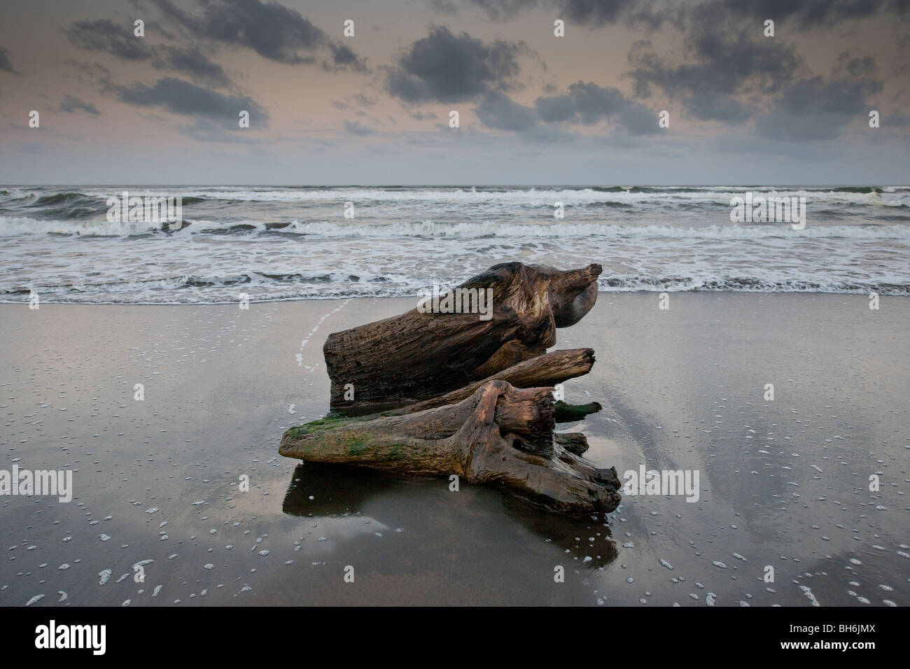 Logs on the idylic paradise beach of Tortuguero near Puerto Viejo de Talamanca in Limón Province, southeast Costa Rica Stock Photo