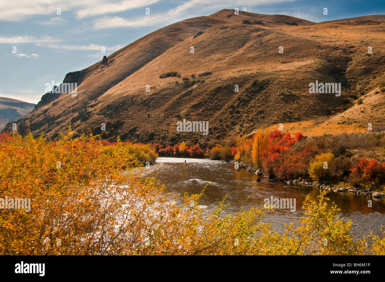 Idaho, Fly fishing on South Fork of the Boise River with spectacular