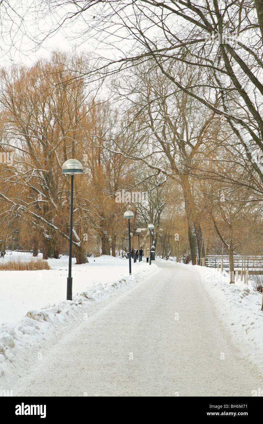 Snow covered tree lined path in Stockholm Sweden Stock Photo