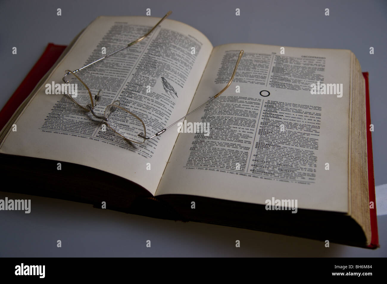 Reading english dictionary hi-res stock photography and images - Alamy