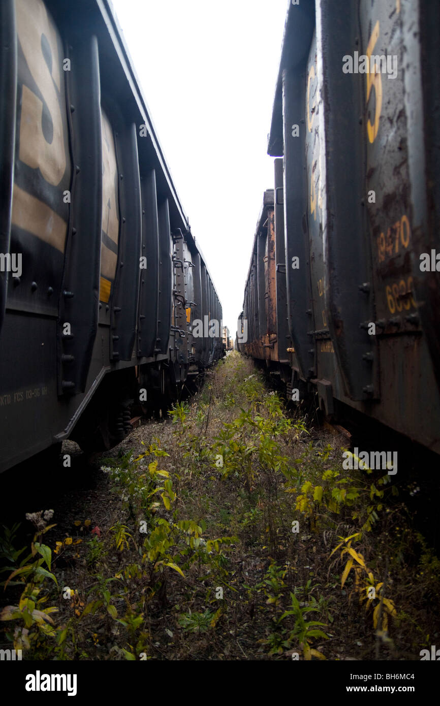 Abandoned railroad freight cars Stock Photo