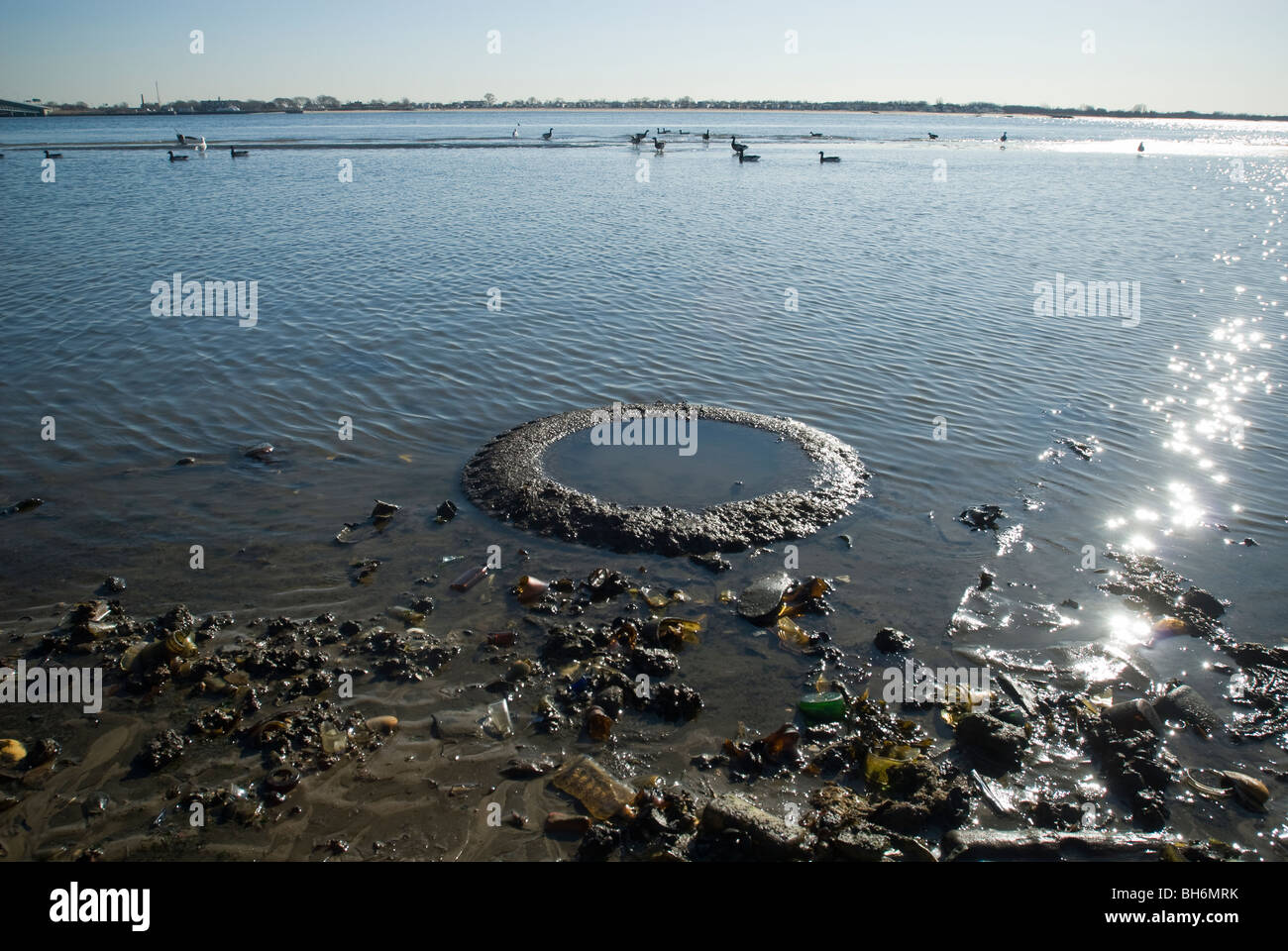 Barren Island in Dead Horse Bay in the Gateway National Recreation Area in Brooklyn in New York