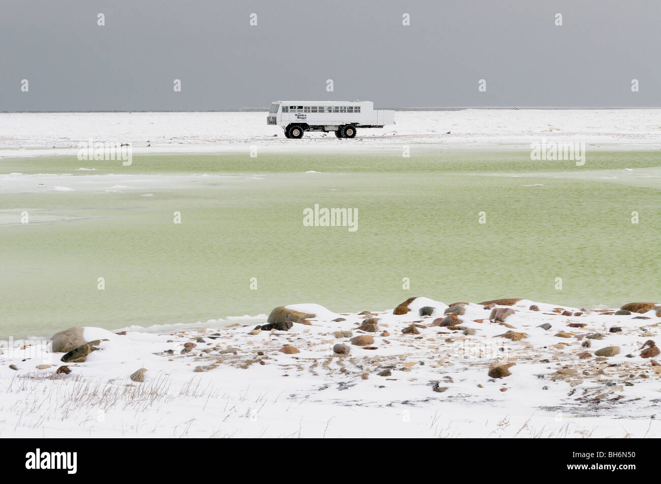 Polar bear tourists in a Tundra Buggy along the coast of Hudson Bay, Churchill, Manitoba Stock Photo