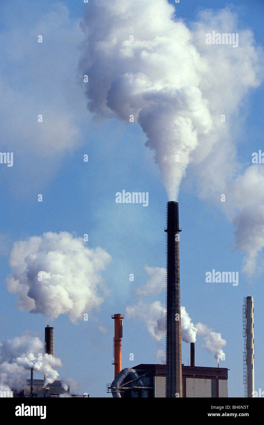 FACTORY SMOKESTACKS, INDUSTRIAL FUMES FROM THE WOOD AND PAPER PULP