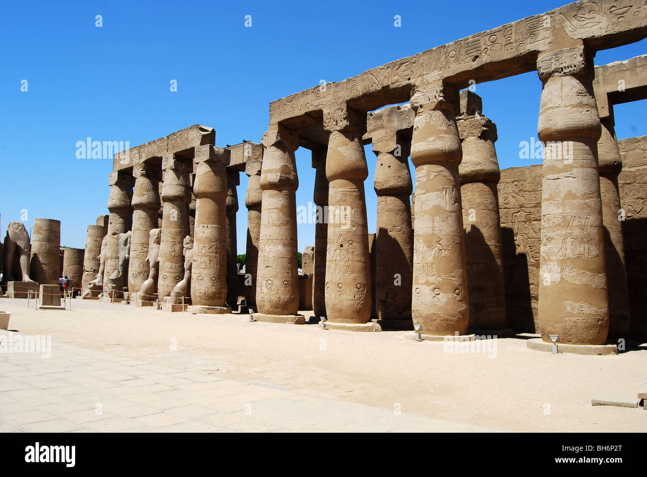 Pillars of collonade luxor temple number 2852 Stock Photo