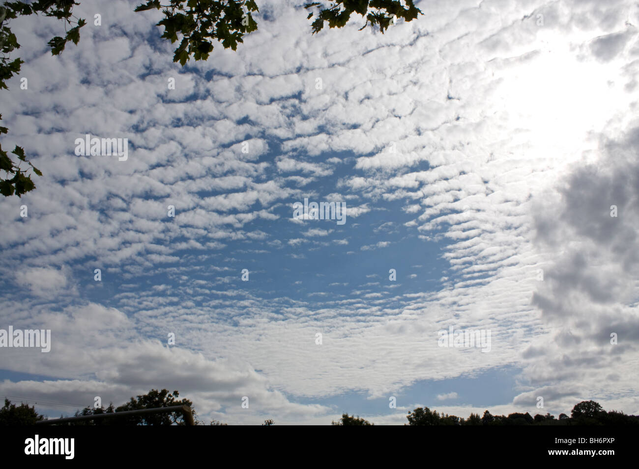 Blue mackerel sky Stock Photo Alamy