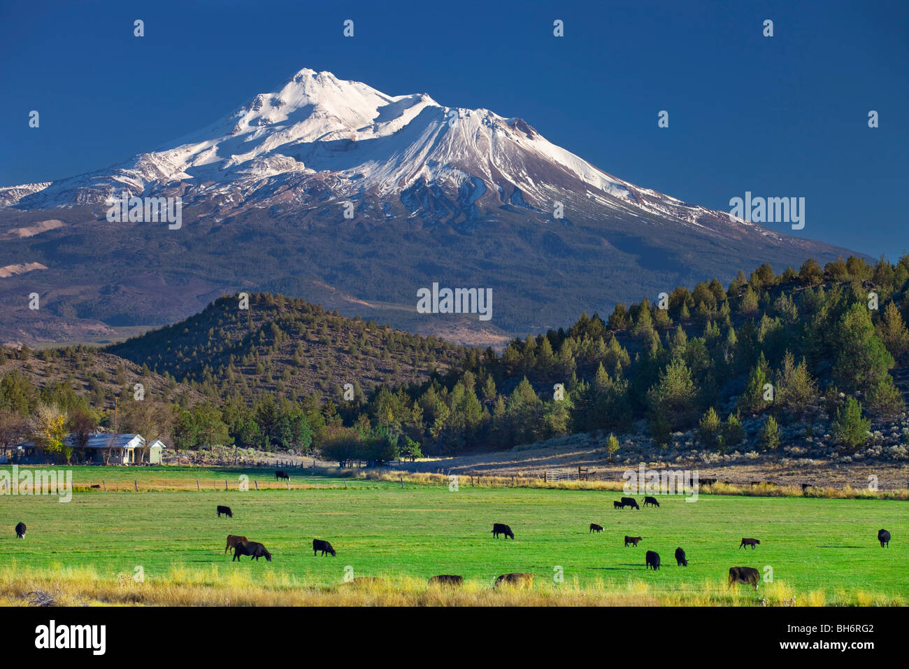 Mount Shasta Peak in northern California Stock Photo