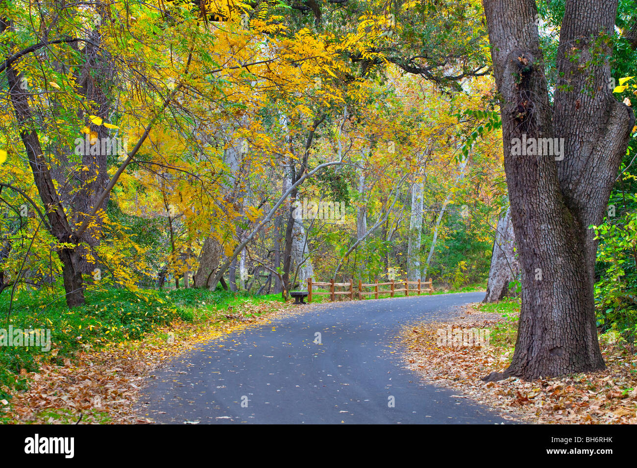 Bidwell Park in the fall, Chico, California Stock Photo - Alamy