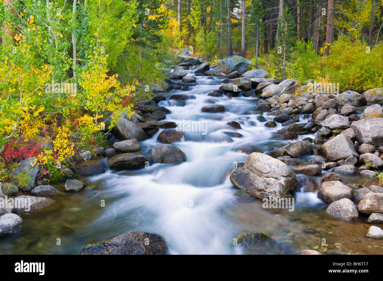 Fall color along the south fork of Bishop Creek, Inyo National Forest, Sierra Nevada Mountains, California Stock Photo