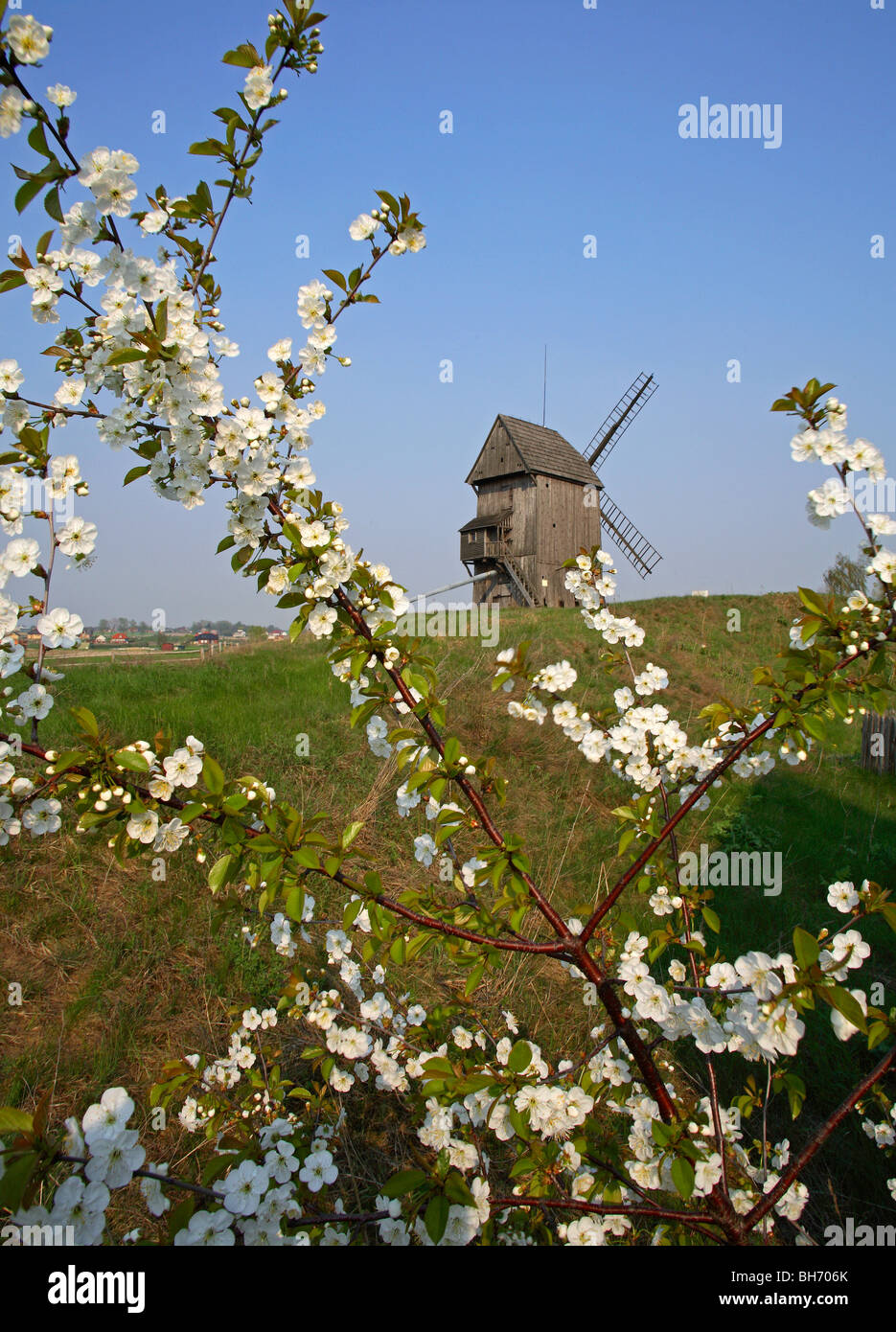 Old Wooden Windmills, Moraczewo, Cednicki Park at Wielkopolska, Poland Stock Photo