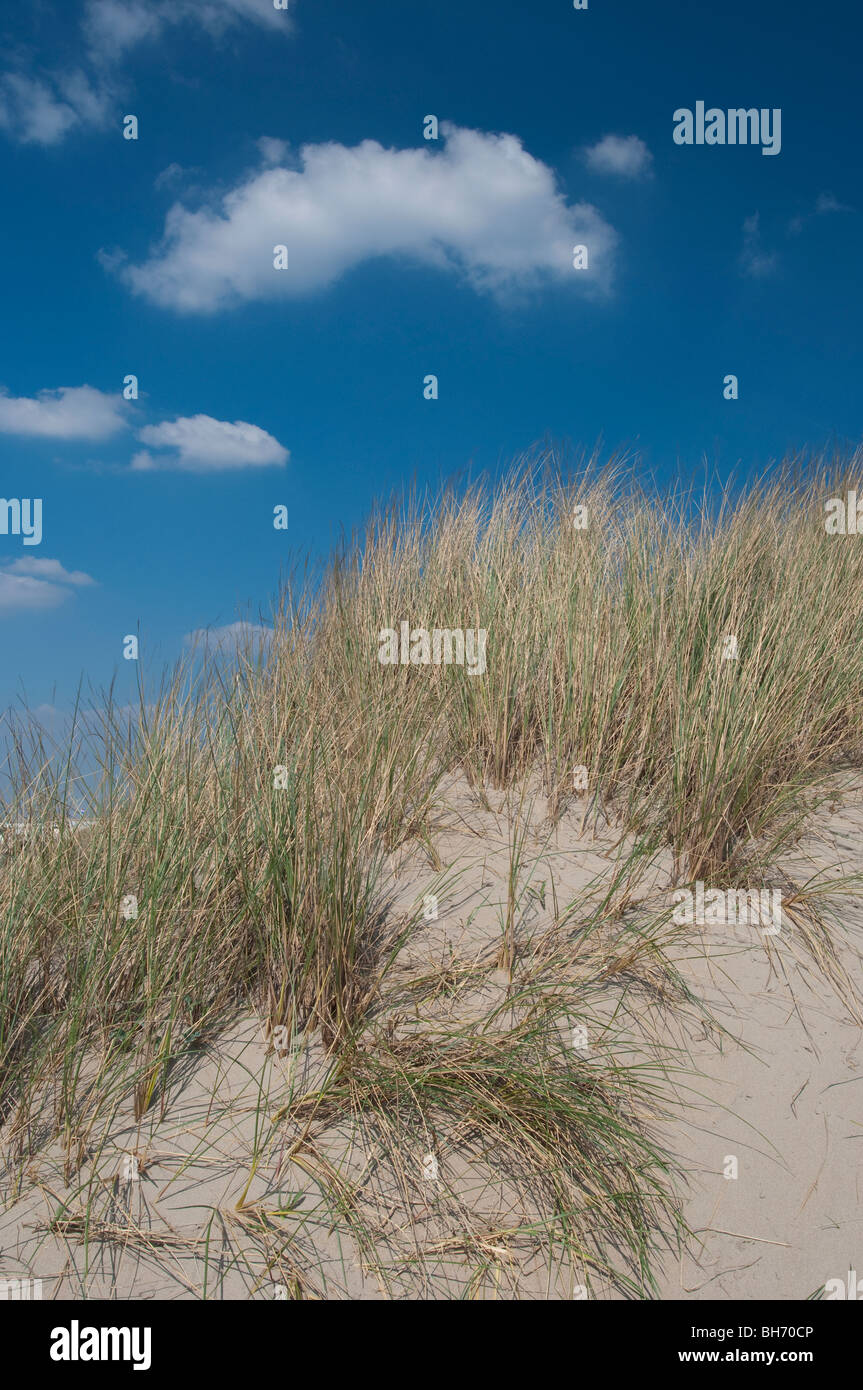 A dune with clouds at the coast of The Netherlands Stock Photo - Alamy