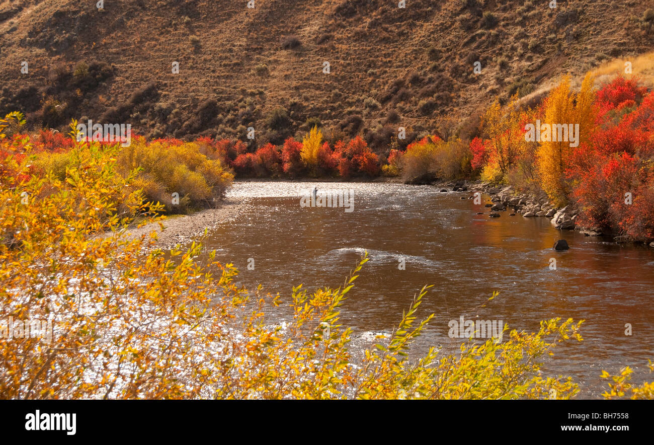 Idaho, Fly fisherman fishing on the South Fork of the Boise River with